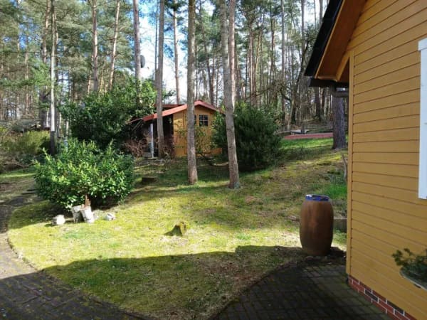 Immobilie in Hitzacker - Elbnähe!!! Unter den Dächern des Waldes die Ruhe und Natur genießen - Bild 1