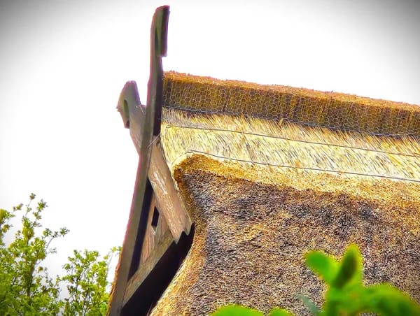 Immobilie in Dobin am See - Landhaus mit Wintergarten und viel Nebengelaß wahlweise mit 2,8ha Wald dahinter - Bild 0