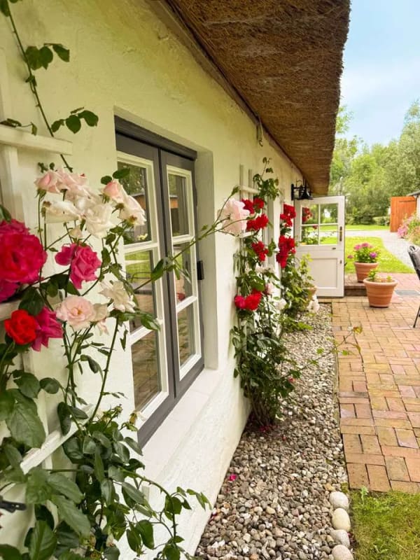 Immobilie in Tetenbüll - DEIN Zuhause unter Reet - großes gepflegtes Grundstück in wunderschöner Gegend - WASSERKOOG - Bild 2