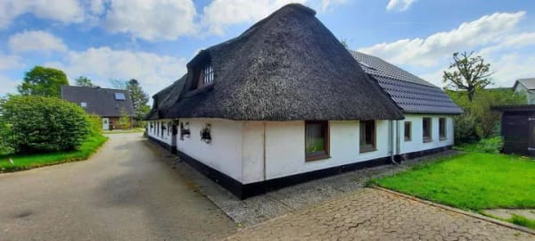 Immobilie in Treia - Historische Reetdachkate auf über 1.700 m² großen Grundstück! - Bild 2