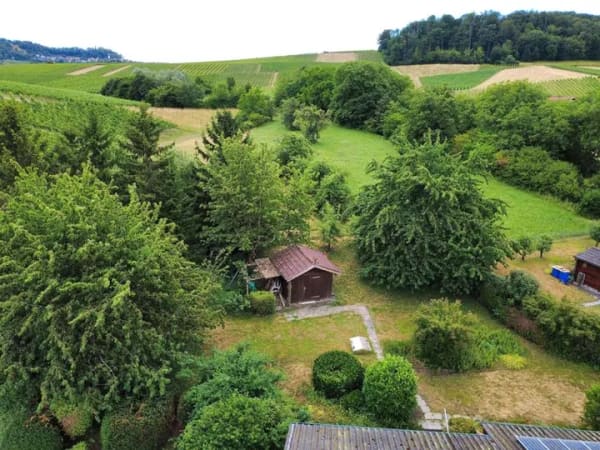 Immobilie in Löwenstein - Ein Zuhause mit Freiraum – Naturnah wohnen mit außergewöhnlichem Grundstücksangebot - Bild 3