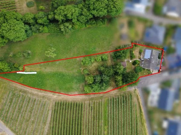 Immobilie in Löwenstein - Ein Zuhause mit Freiraum – Naturnah wohnen mit außergewöhnlichem Grundstücksangebot - Bild 4