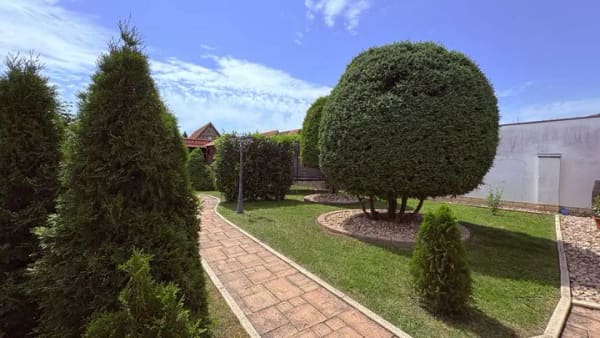 Immobilie in Sangerhausen - Liebevoll gepflegtes Fachwerkhaus mit Gartenidylle und überdachter Terrasse - Bild 2