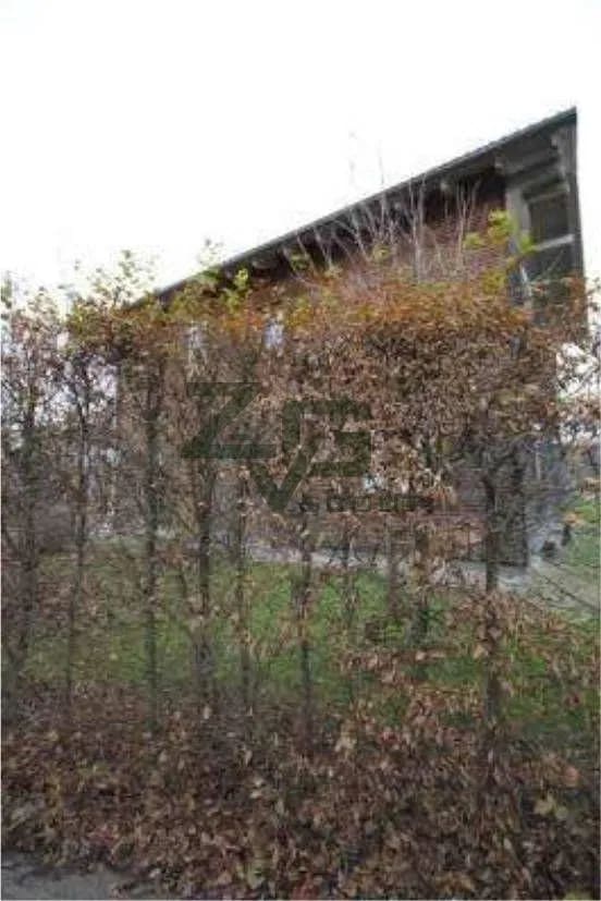 Immobilie in Fridolfing - Einfamilienhaus freistehend in Fridolfing - Bild 2