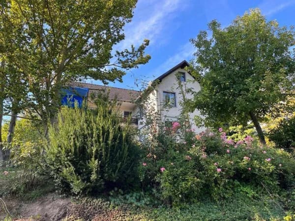 Immobilie in Elze - Großzügiges Einfamilienhaus mit Einliegerwohnung Garten & Blick - Bild 4