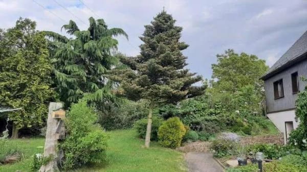 Immobilie in Geringswalde - +++FREI+++EINFAMILIENHAUS MIT EINLIEGERWOHNUNG+++GEPFLEGTER UND GROSSER GARTEN+++ - Bild 2