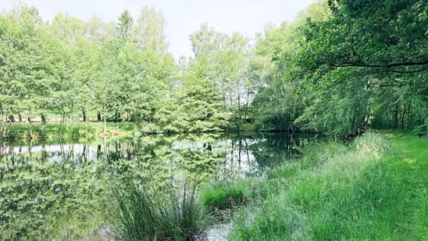 Immobilie in Visbek - Visbek | Urlaubsgefühl das ganze Jahr - Holzhaus mit Sauna im Feriengebiet - Bild 4