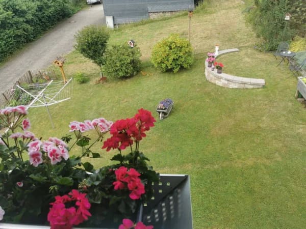 Immobilie in Erndtebrück - Einziehen, zurücklehnen, Sonne genießen - Südlich ausgerichteter Balkon inklusive - Bild 3