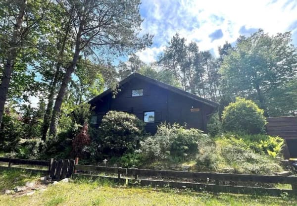 Immobilie in Nahrendorf - Pommoissel: Gemütliches Holzhaus mit Südterrasse, 3 separaten Schlafzimmern und Garage - Bild 1