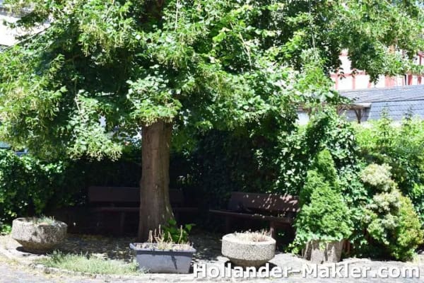 Immobilie in Briedel - Charmantes Einfamilienhaus mit viel Potenzial im idyllischen Weinort Briedel - Bild 4