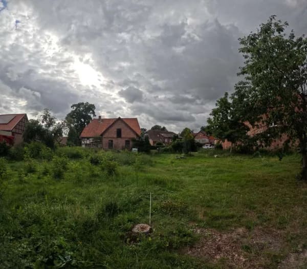 Immobilie in Edemissen - Rarität in zentraler Lage von Edemissen: Denkmal-Bauernhaus + Baugrundstück auf 1.800 m² - Bild 3