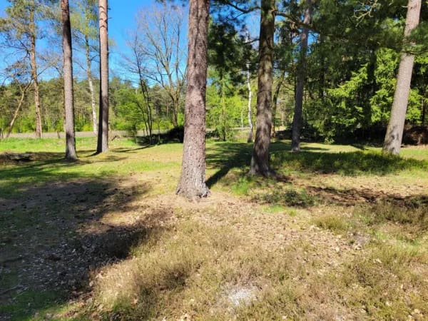 Immobilie in Regesbostel - Wohnen mit Charakter: Wochenendhaus mit großzügigem Grundstück in der Stellheide in Regesbostel - Bild 2