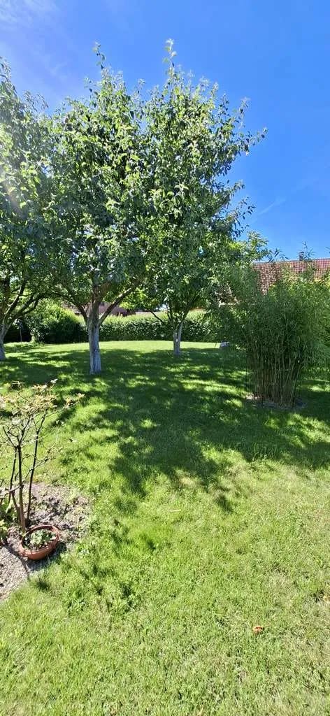 Immobilie in Brüsewitz - Idylisches Einfamilienhaus mit Kamin - Bild 2