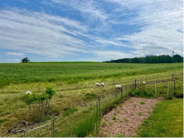 Immobilie in Glashütte - Ein Zuhause mit Potenzial – Einfamilienhaus  mit traumhaftem Grundstück am Feld - Bild 1