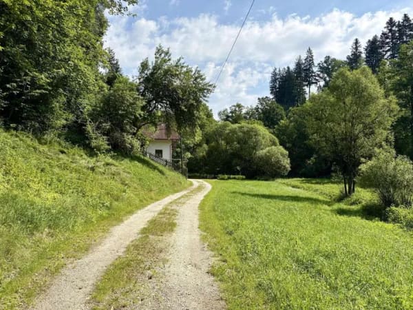 Immobilie in Thyrnau - Einzigartige Lage - sanierungsbedürftiges Objekt! Einfamilienhaus in Niedersatzbach (Thyrnau)   - Bild 4
