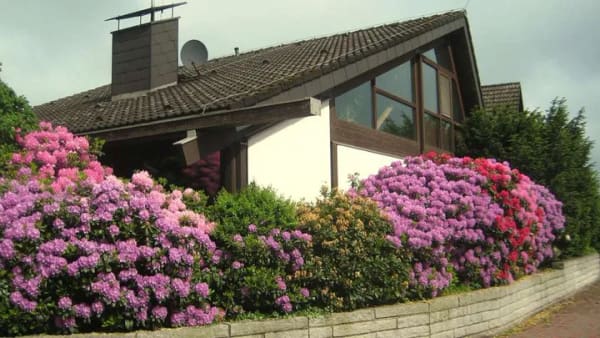 Immobilie in Holm - Ein besonderes Haus mit ausgewöhnlicher Architektur von Privat / provisionsfrei - Bild 2
