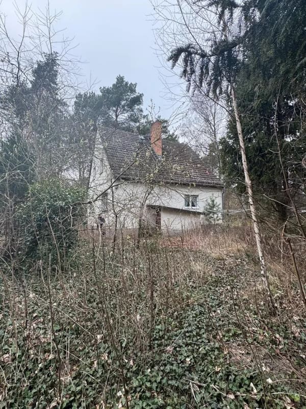 Immobilie in Wildau - Haus in Wildau - Bild 4