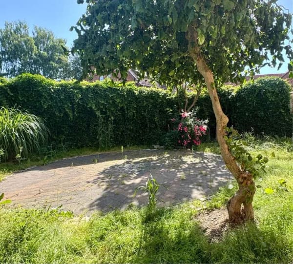 Immobilie in Bad Münder am Deister - Fachwerk-Bauernhaus, 200 m² Wohnfl. m. Einliegerwhg, modernisiert, kleiner Garten! - Bild 1