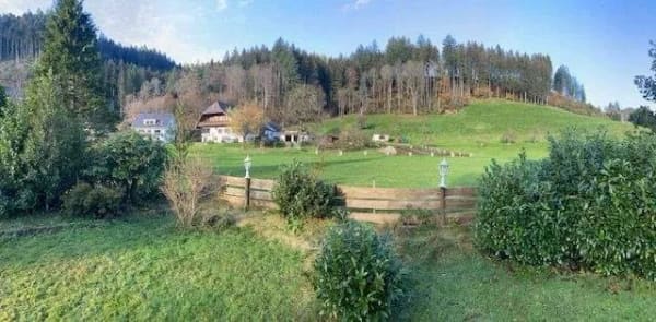 Immobilie in Bad Rippoldsau-Schapbach - Interessantes Mehrzweck Anwesen - provisionsfrei - Bild 0