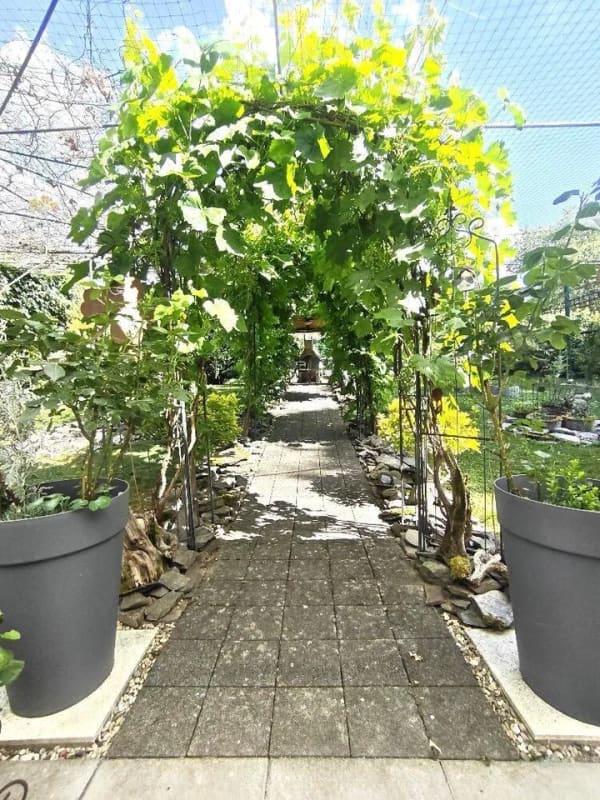 Immobilie in Pluwig - Familienfreundliches Wohnen, viel Platz, Privatsphäre und eine große außergewöhnliche Gartenanlage - Bild 2