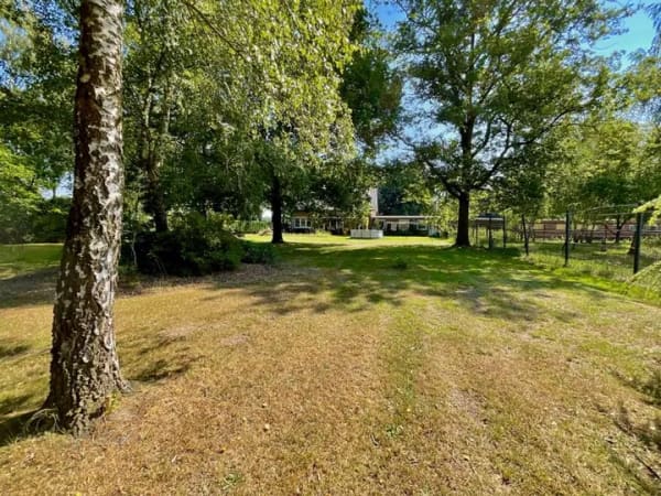 Immobilie in Stemmen - Hofanwesen in absoluter Alleinlage – 4 ha Eigenland, Einliegerwohnung und vielseitige Nutzung - Bild 3