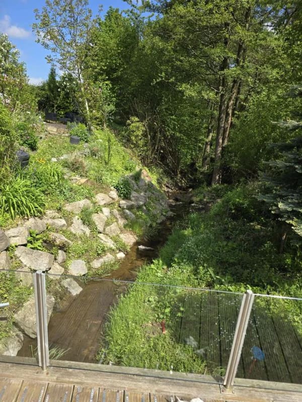 Immobilie in Uslar - Idyllische Lage, unverbauter Blick-EFH bezugsfertig und ruhig gelegen! - Bild 3