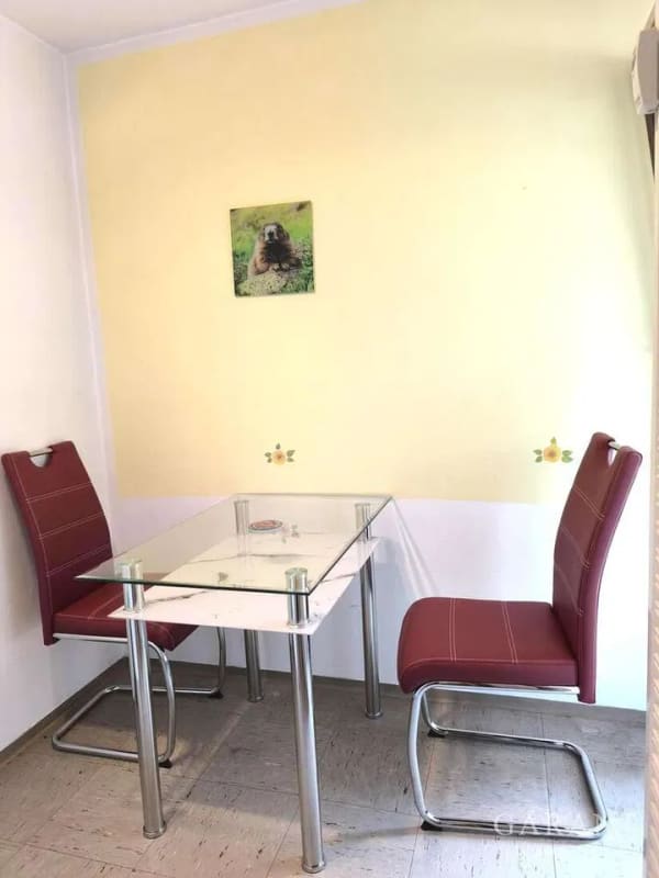 Immobilie in Neureichenau - Top-gepflegtes Raumwunder im Dreiländereck - Ideal als Ferienwohnung, Investment oder Erstwohnsitz - Bild 4
