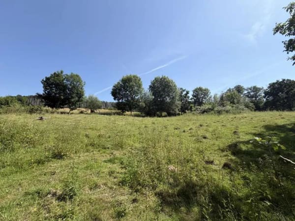 Immobilie in Extertal - Naturidylle in nahezu Alleinlage – Wohnhaus mit traumhaftem Weitblick in Extertal-Bremke - Bild 3