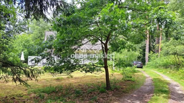Immobilie in Bardowick - Einfamilienhaus freistehend in Bardowick - Bild 4