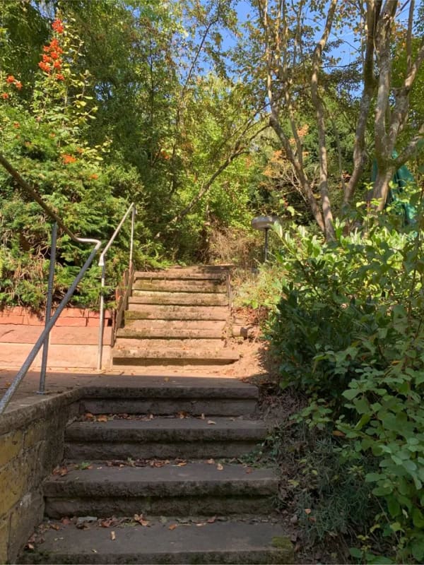 Immobilie in Glattbach - Ein Gartenparadies unweit der Stadt - Wohnhaus, DHH, mit Nebengebäude und herrlichem Garten !!! - Bild 3