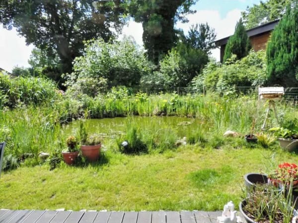Immobilie in Bunsoh - Ein Haus für " Verträumte " mit 3 Kindern + Hund !! - Bild 2