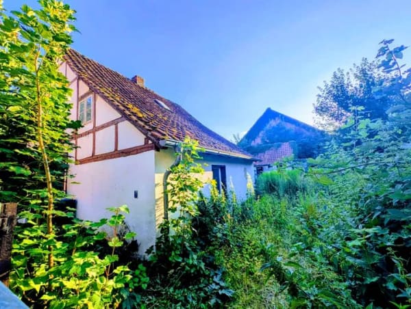 Immobilie in Vahlberg - Eck- Fachwerkhaus im Dorfkern - Bild 0