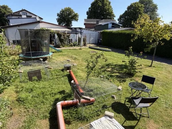 Immobilie in Seester - * Einziehen und Wohlfühlen * Geräumiges, saniertes Domizil mit Garten und Carport - Bild 2
