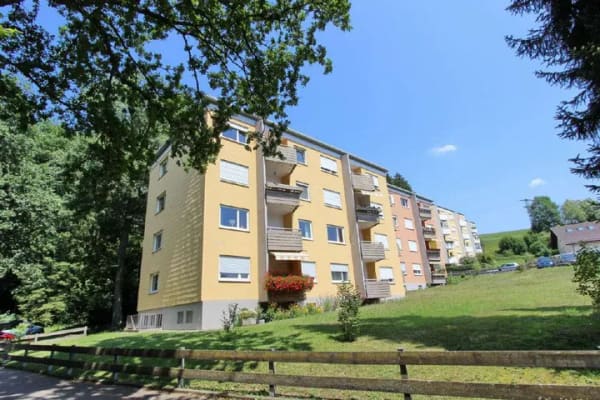 Immobilie in Wangen im Allgäu - Appartement mit Bergsicht in toller, ruhiger Stadtrandlage - Bild 1