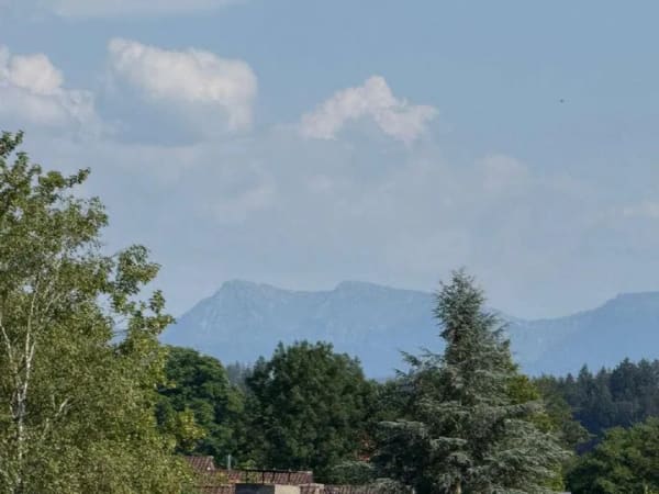 Immobilie in Wangen im Allgäu - Appartement mit Bergsicht in toller, ruhiger Stadtrandlage - Bild 2