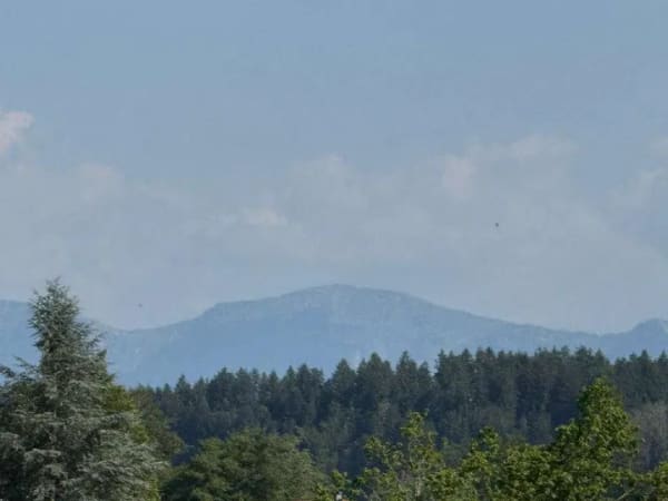 Immobilie in Wangen im Allgäu - Appartement mit Bergsicht in toller, ruhiger Stadtrandlage - Bild 3
