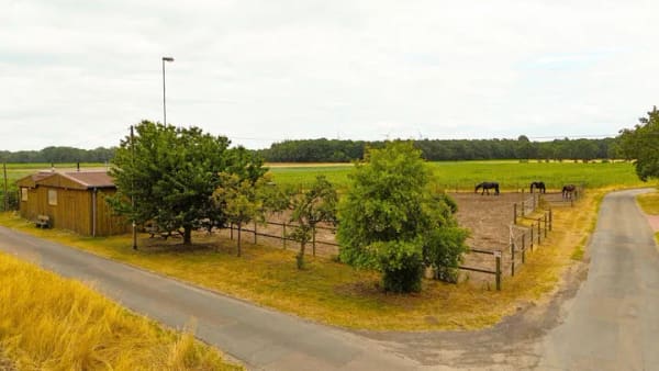 Immobilie in Berge - !!Idylle Pur!! Großzügiges Wohnhaus mit Einliegerwohnung und Pferdestall im Außenbereich von Berge im Bieterverfahren - Bild 3