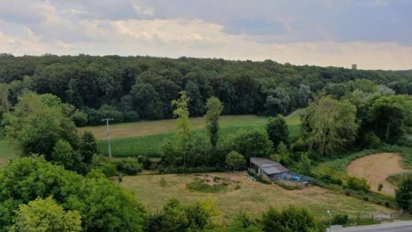 Immobilie in Aub - Modernes Einfamilienhaus mit separatem Nebengebäude in Aub - Wohnen & bis zu 14.600 € Mieteinnahmen jährlich möglich! - Bild 4
