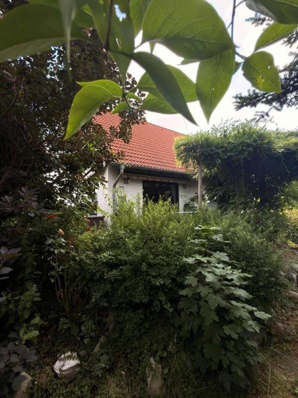 Immobilie in Elstertrebnitz - Gepflegtes Einfamilienhaus - Familienidyll mit gewachsenem Garten und Teich - 800 m zum Zug nach Leipzig - Bild 0