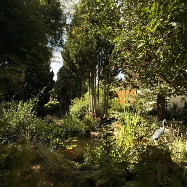 Immobilie in Elstertrebnitz - Gepflegtes Einfamilienhaus - Familienidyll mit gewachsenem Garten und Teich - 800 m zum Zug nach Leipzig - Bild 1