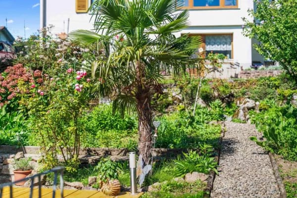 Immobilie in Elzach - Ein Zuhause für Generationen - großzügiges Zweifamilienhaus mit vielfältigen Möglichkeiten
  - Bild 2
