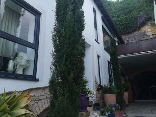Immobilie in Wachenheim an der Weinstraße - Schönes Einfamilienhaus, komplett saniert von Privat - Bild 1