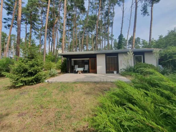 Immobilie in Bad Düben - Freizeitbungalow auf Eigentumsland im Ortsteil Hammermühle zu verkaufen! - Bild 2