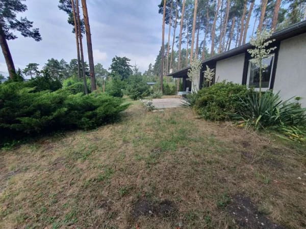 Immobilie in Bad Düben - Freizeitbungalow auf Eigentumsland im Ortsteil Hammermühle zu verkaufen! - Bild 3