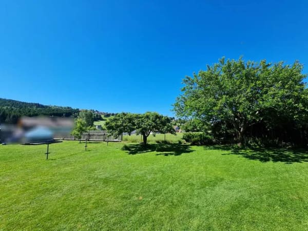 Immobilie in Sankt Oswald-Riedlhütte - Sonniger, bezahlbarer Familien(t)raum mit Garagen, Gartenhaus, Werkstatt, Küche und mega Garten. - Bild 4