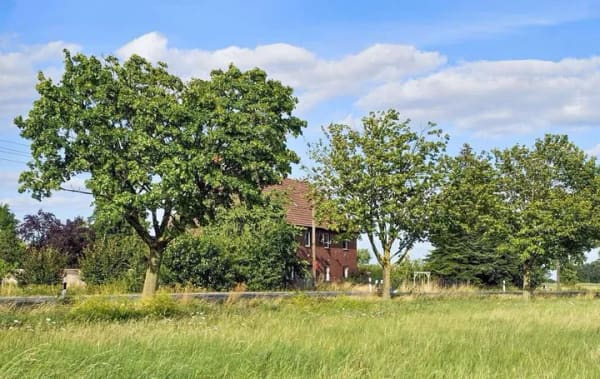 Immobilie in Drensteinfurt - Wohnen im Grünen – großzügiges Zweifamilienhaus mit Ausbau- und Entwicklungspotenzial - Bild 0