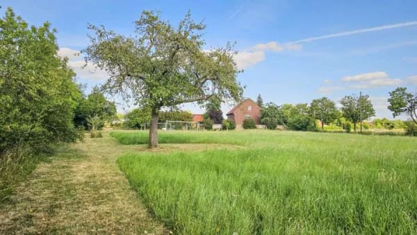 Immobilie in Drensteinfurt - Wohnen im Grünen – großzügiges Zweifamilienhaus mit Ausbau- und Entwicklungspotenzial - Bild 2