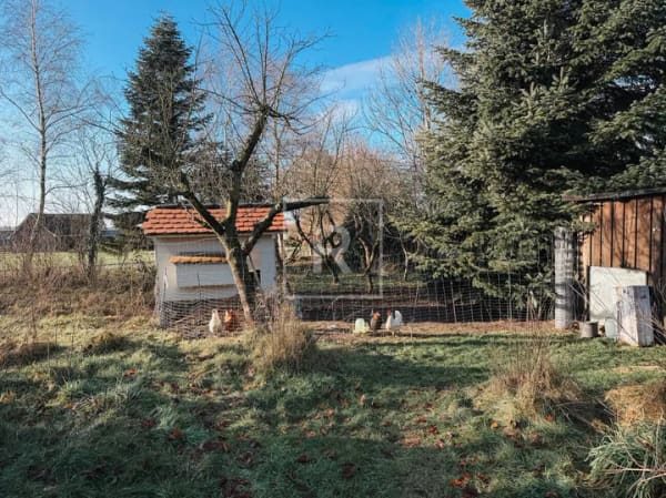Immobilie in Steenfeld - Ärmel hoch und anpacken! Resthof in Steenfeld wartet auf neue Besitzer - Bild 4