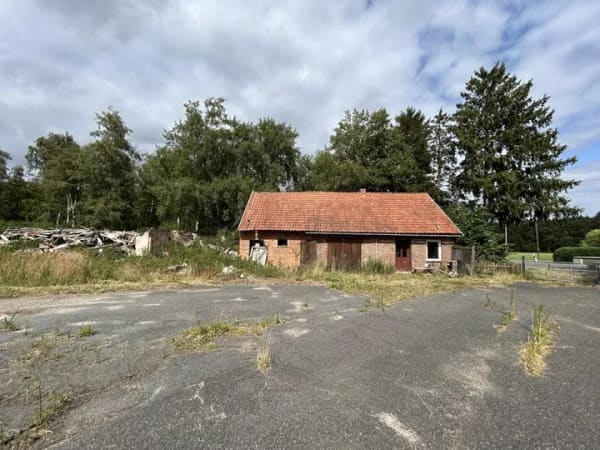 Immobilie in Steimbke - Einfamilienhaus freistehend in Steimbke - Bild 2