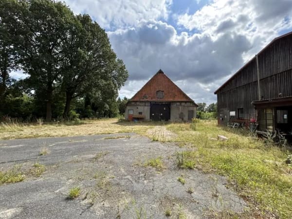 Immobilie in Steimbke - Einfamilienhaus freistehend in Steimbke - Bild 4